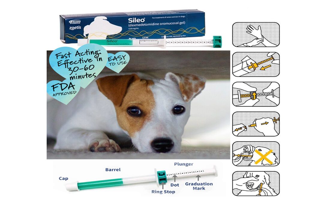 SILEO: FOR NOISE AVERSION ANXIETY IN DOGS