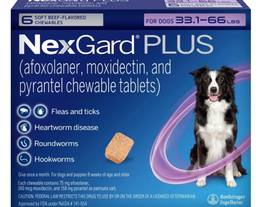 NEXGARD PLUS FOR DOGS: ONCE A MONTH PROTECTION AGAINST FLEAS, TICKS & HEARTWORM