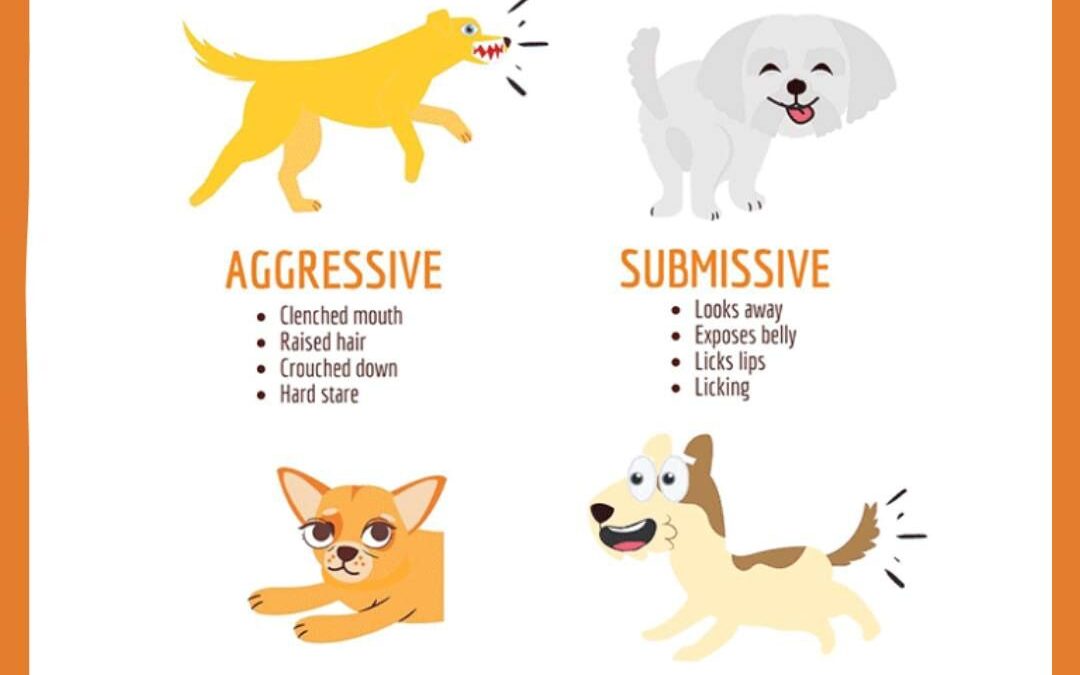 DOG BITE PREVENTION WEEK: READ THE SIGNS