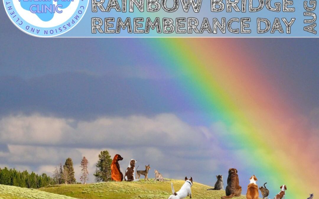 AUG 28TH: NAT’L RAINBOW BRIDGE REMEMBERANCE DAY
