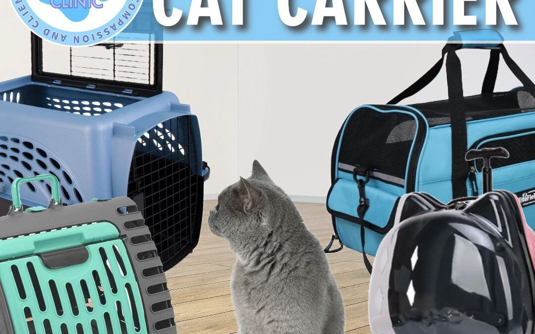 YOUR CHARIOT AWAITS: CHOOSING THE RIGHT CAT CARRIER