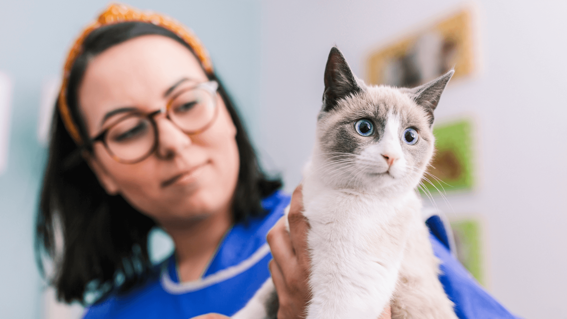 woman holding a cat