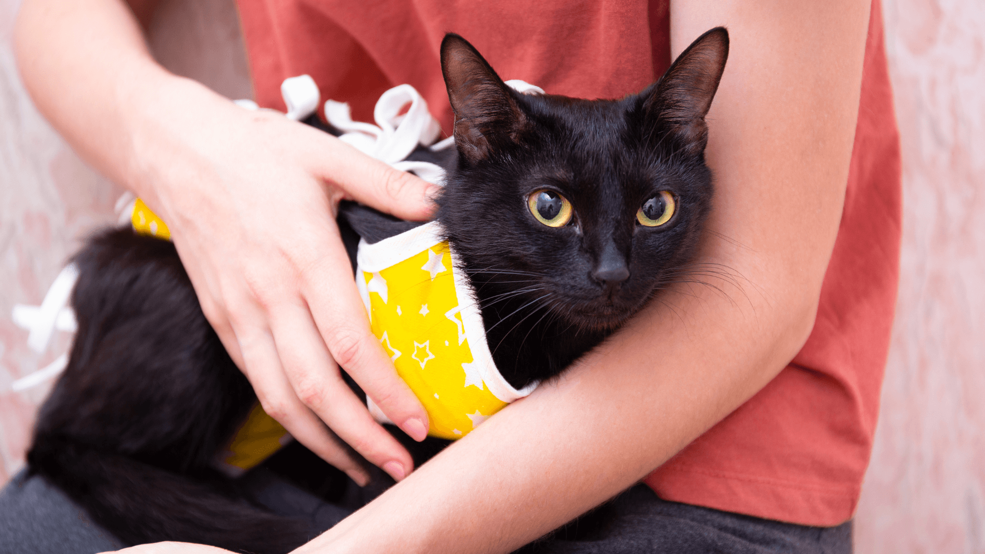 woman holding a cat